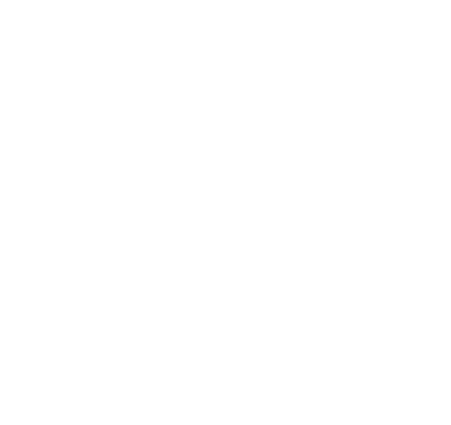 Belgian Waffle Co.